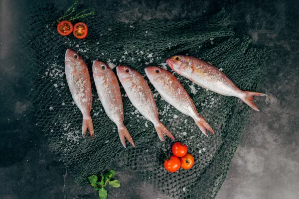 В Костромской области не могут справиться с изобилием рыбы